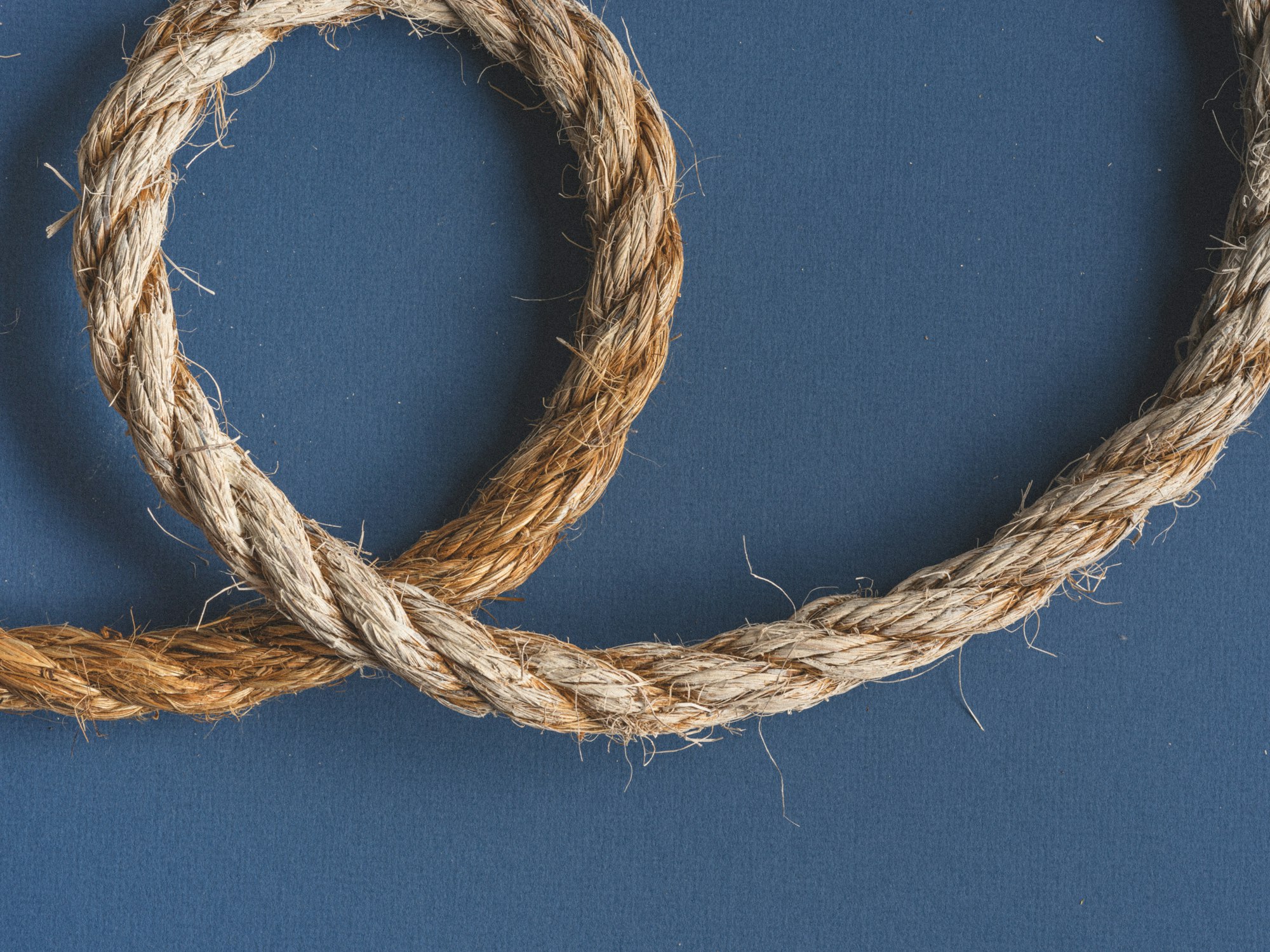 A close-up of a loop of coarse, natural fiber rope on a blue background