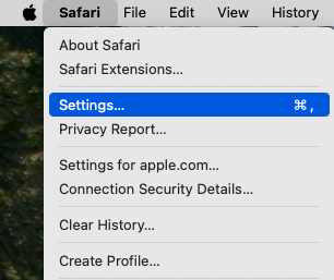 Safari Developer Tools interface
