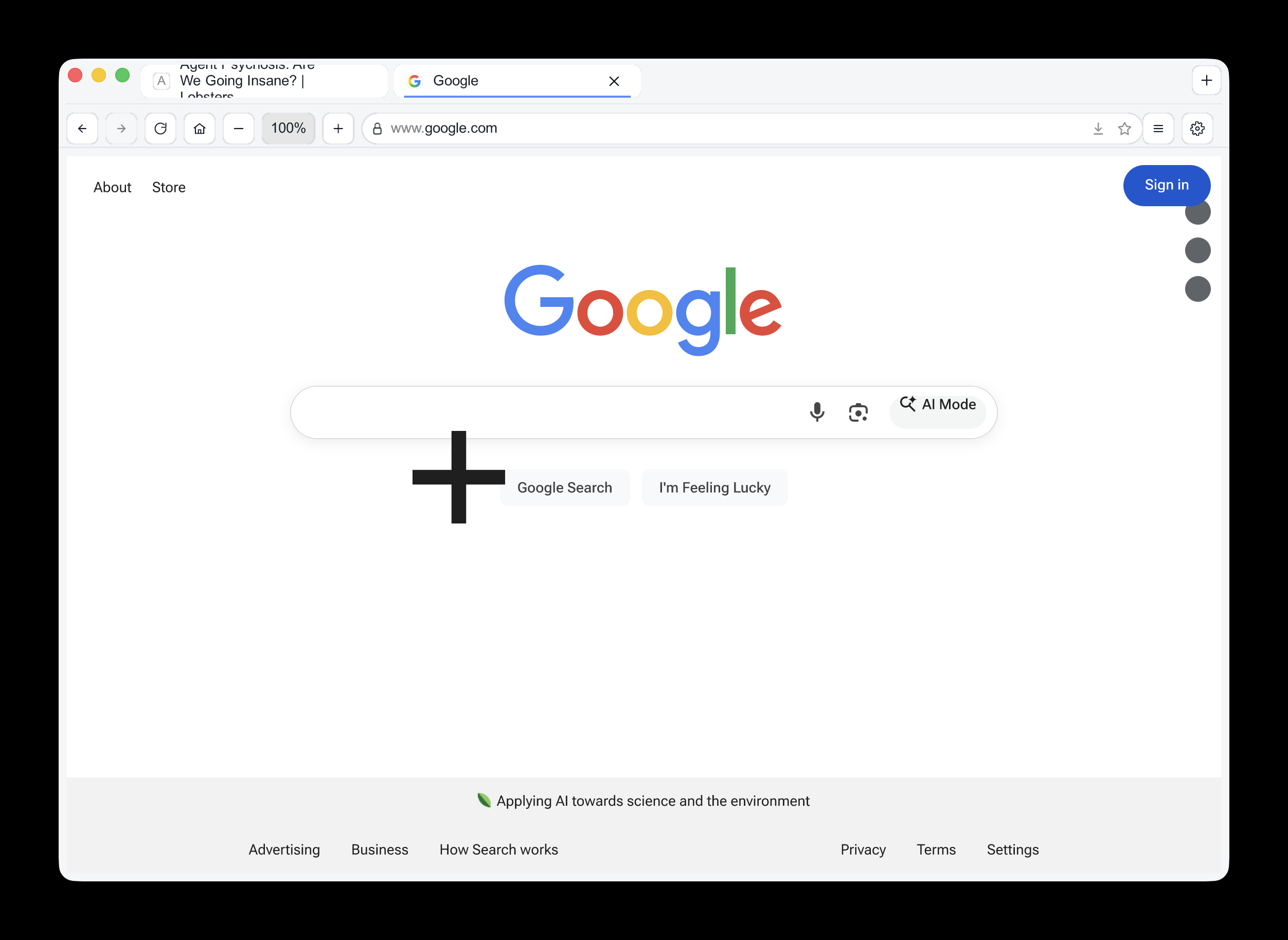 The browser chrome is neat but has a garbled tab name at the top. The Google homepage looks mostly correct but the buttons are not styled correctly and the Google Search one has a huge plus icon floating near it.